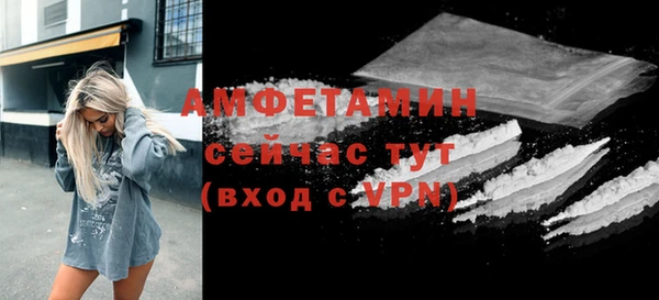прущие грибы Корсаков