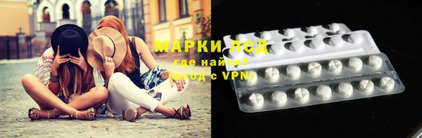 прущие грибы Корсаков