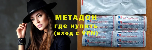 прущие грибы Корсаков
