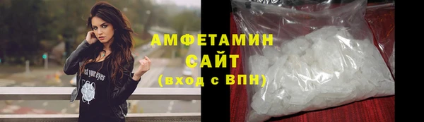 прущие грибы Корсаков