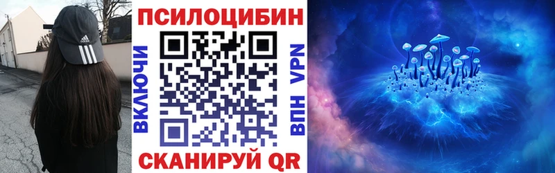 Купить где  Кудрово  Псилоцибиновые грибы Psilocybine cubensis 